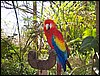 100_0350.JPG