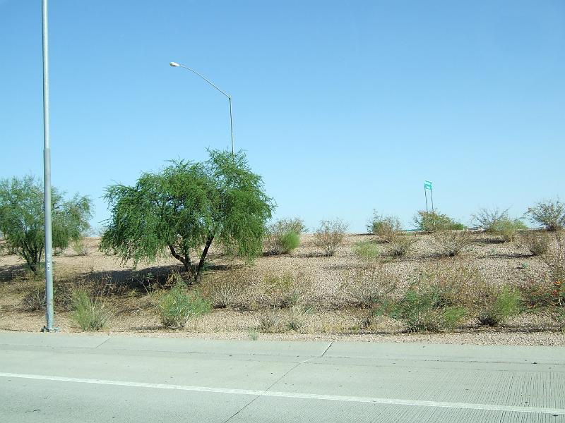 DSCF2878.JPG