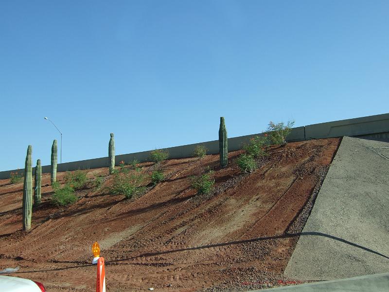 DSCF2879.JPG