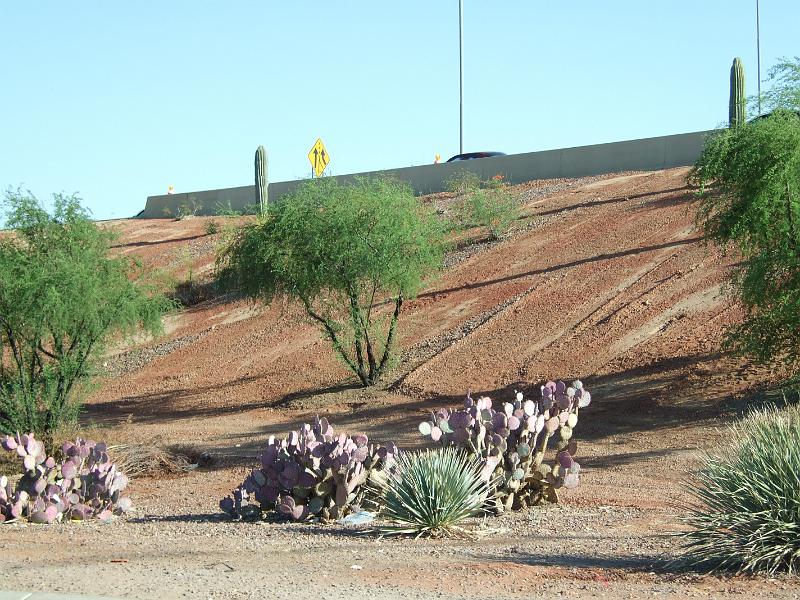 DSCF2880.JPG
