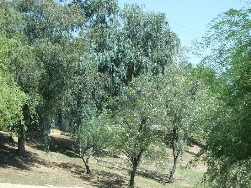 DSCF2883.JPG