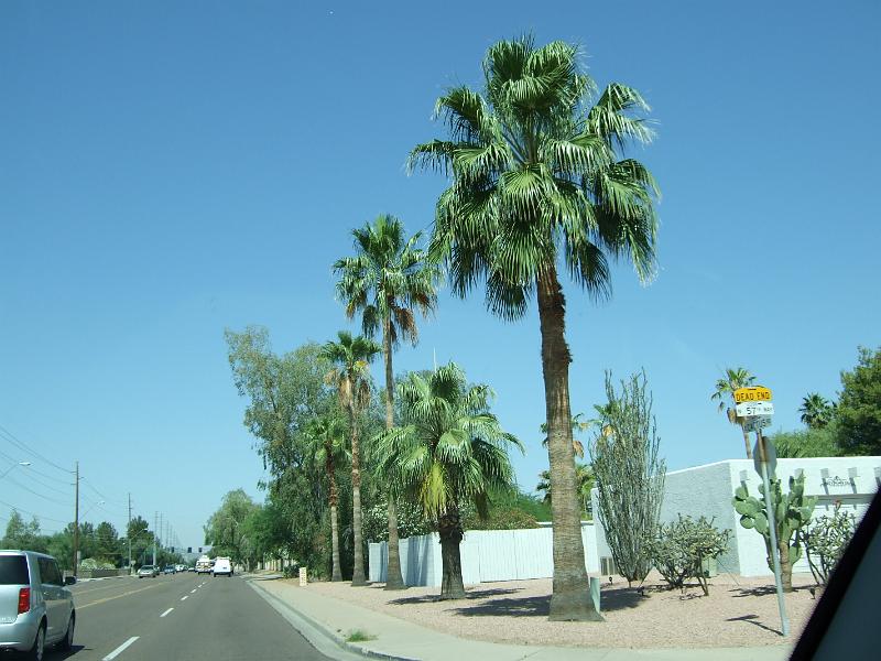 DSCF2884.JPG