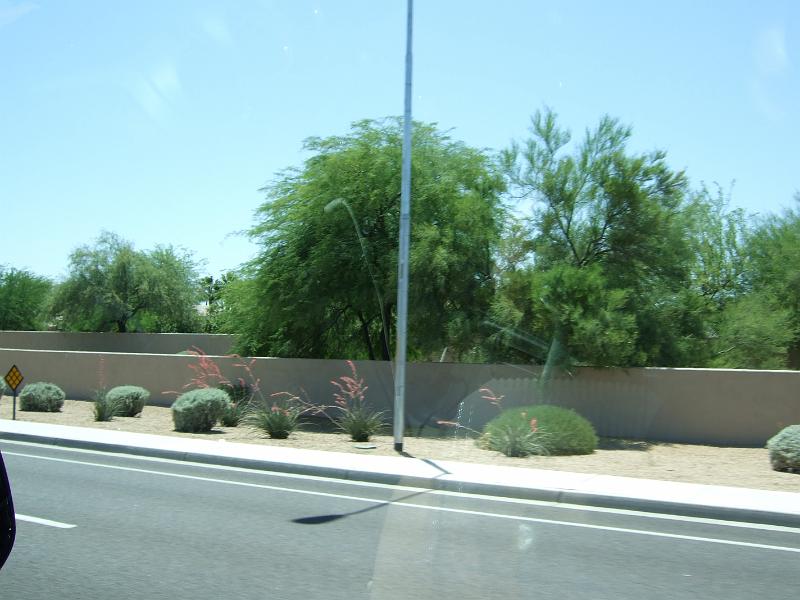 DSCF2885.JPG