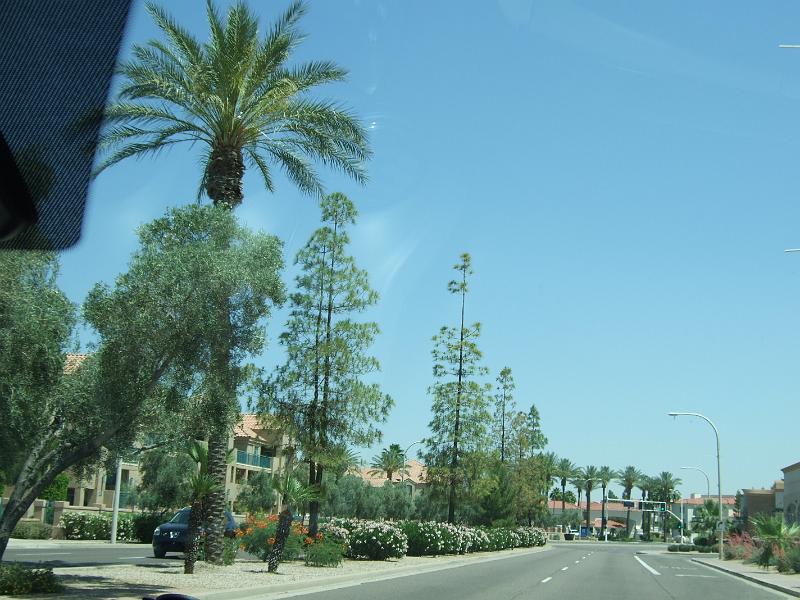 DSCF2893.JPG