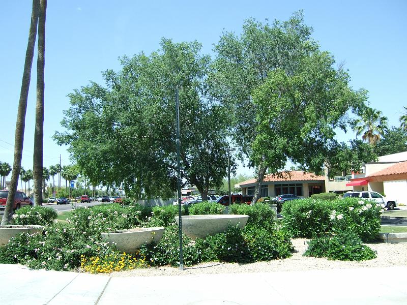 DSCF2894.JPG