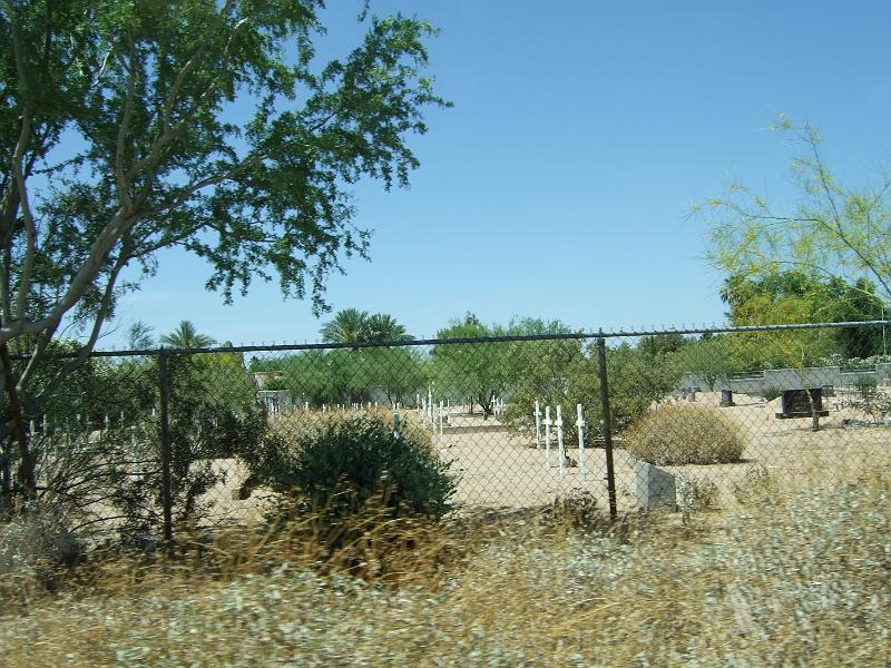 DSCF2896.JPG