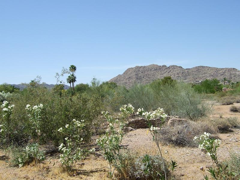 DSCF2899.JPG