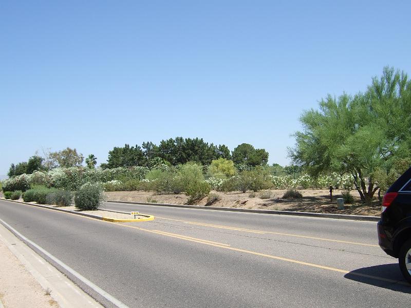 DSCF2900.JPG