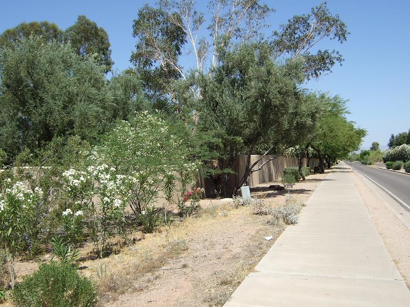 DSCF2901.JPG
