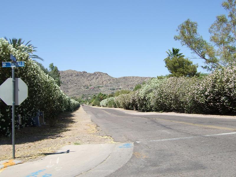 DSCF2903.JPG