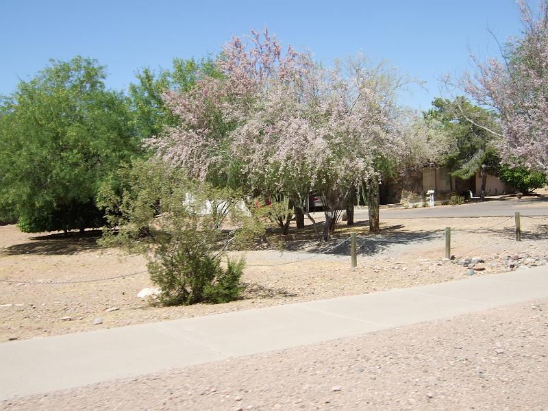 DSCF2904.JPG
