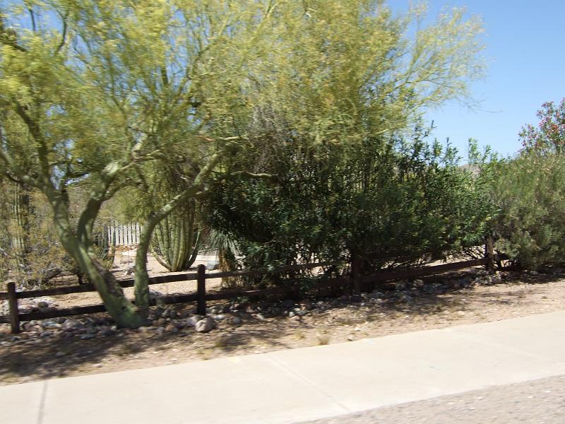 DSCF2906.JPG