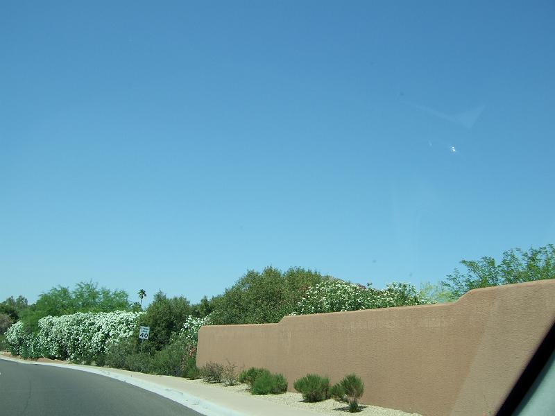DSCF2913.JPG