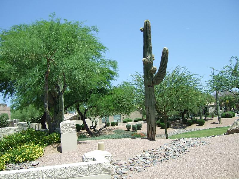 DSCF2918.JPG