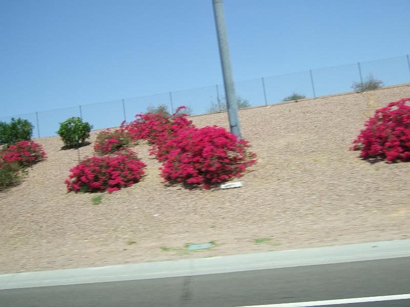 DSCF2921.JPG