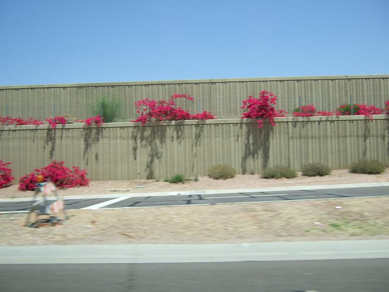 DSCF2922.JPG