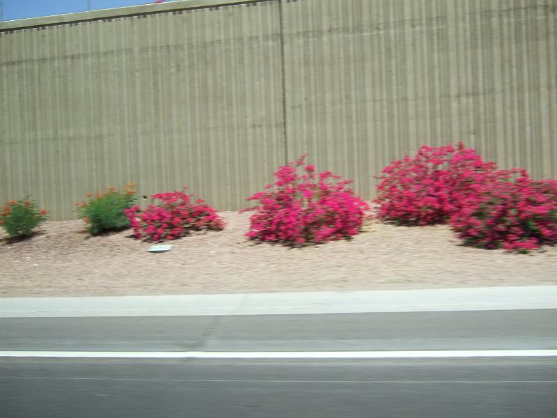 DSCF2923.JPG