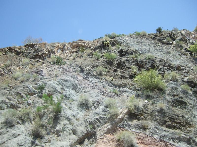 DSCF2938.JPG