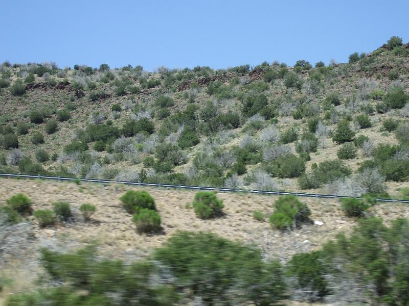 DSCF2945.JPG