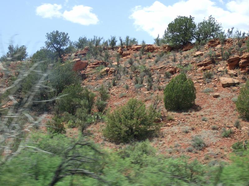 DSCF2949.JPG