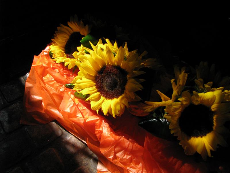 IMG_2080.JPG