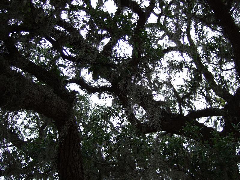 DSCF2784.JPG