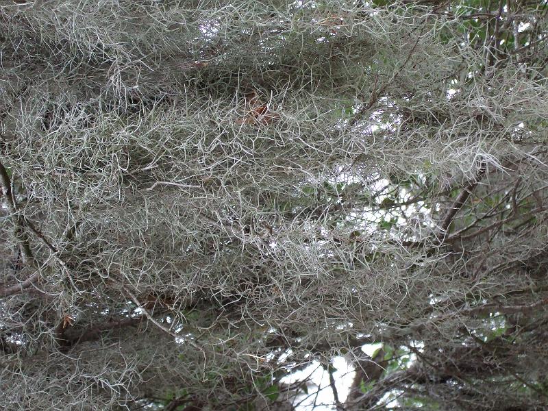 DSCF2795.JPG