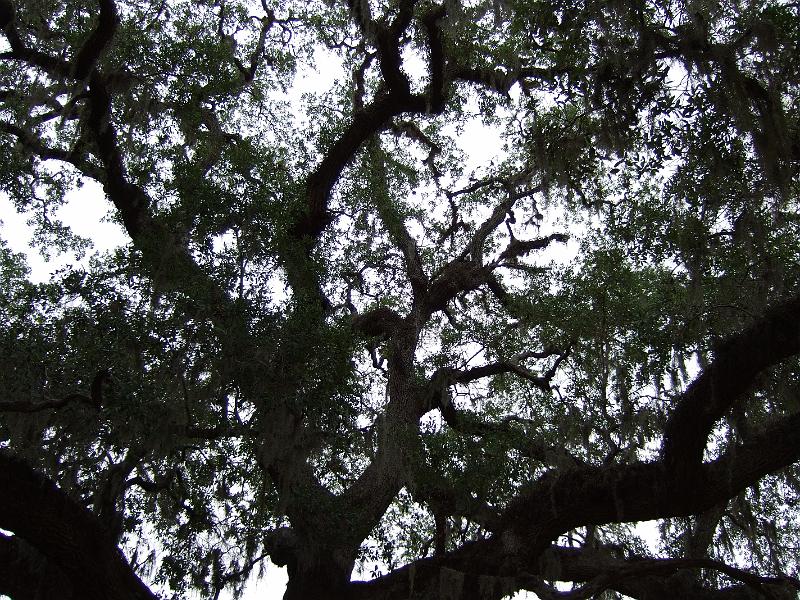 DSCF2798.JPG