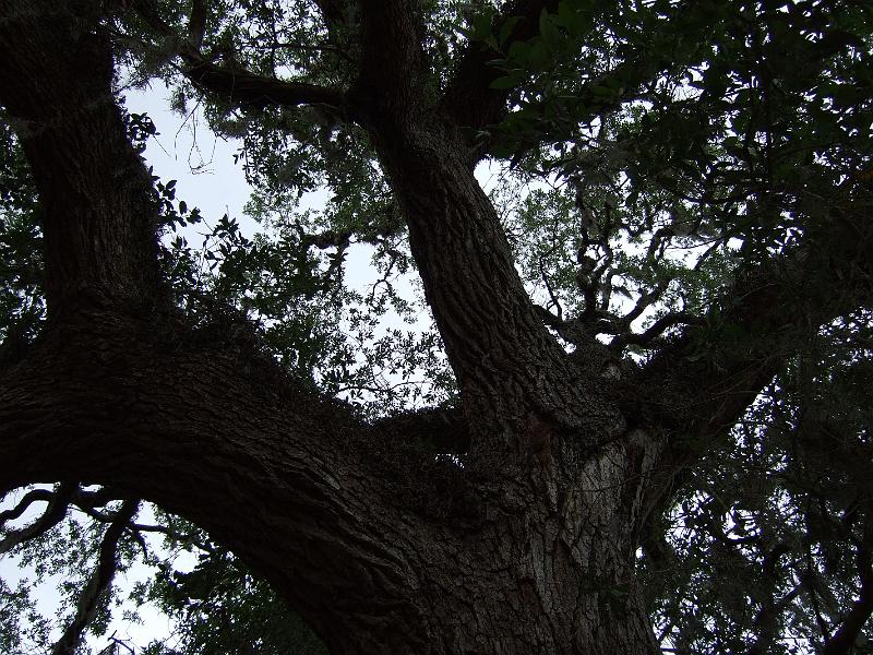 DSCF2800.JPG