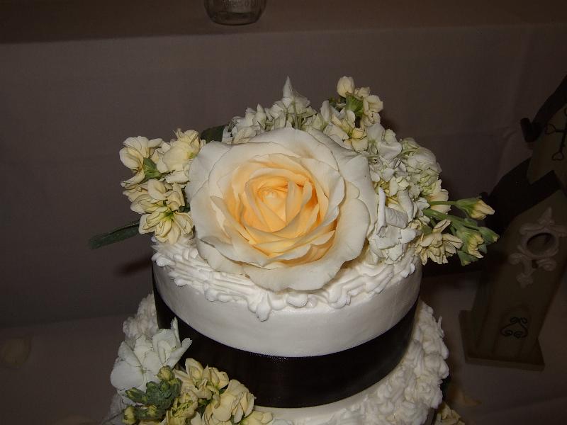 DSCF2804.JPG
