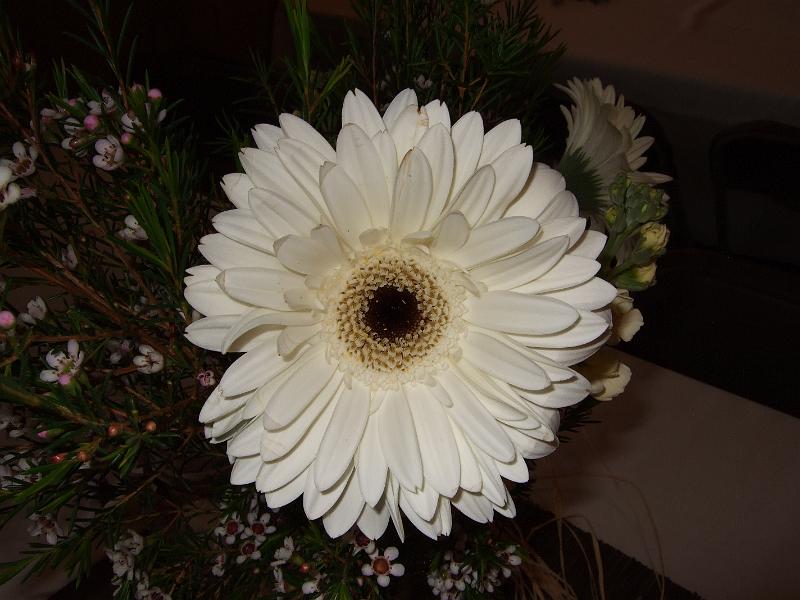 DSCF2813.JPG