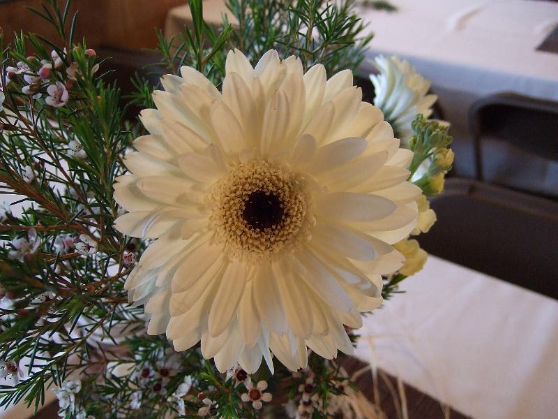 DSCF2814.JPG