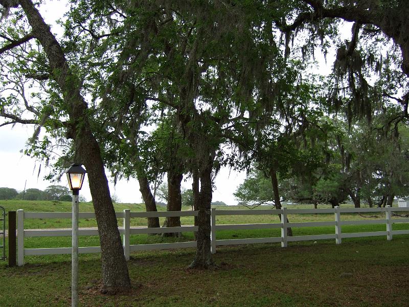 DSCF2816.JPG