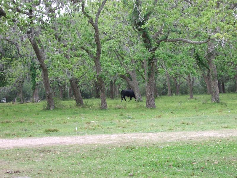 DSCF2822.JPG